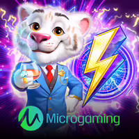 Microgaming Plus Slots-image